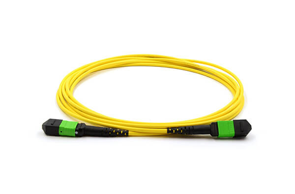 CHB MPO MTP Fibre Patch Lead SM CHB MPO MTP Fibre Patch Lead SM